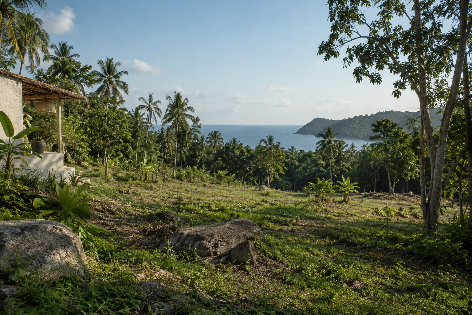 A broad view of a distinct undeveloped tropical parcel, its terrain and natural planting
