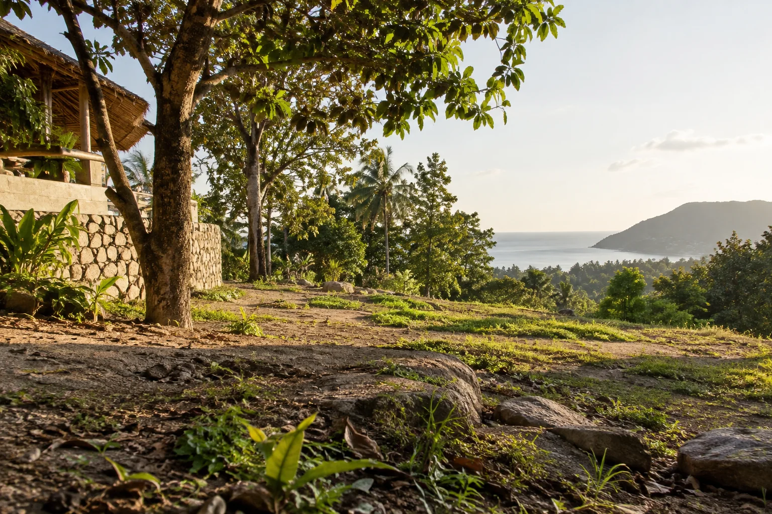 A ground-level view of the parcel showing soil texture, vegetation and natural drainage