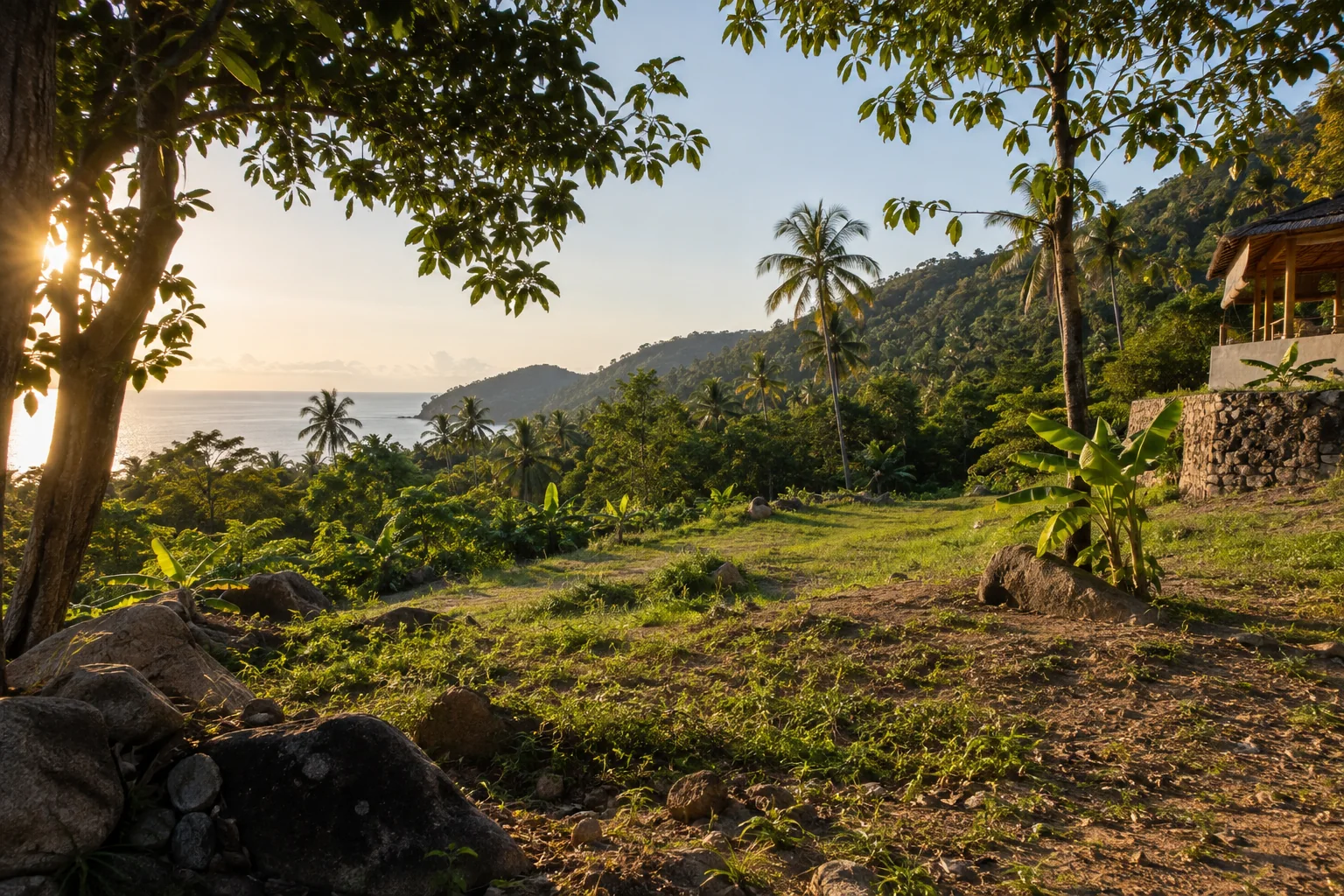 A broad view of a distinct undeveloped tropical parcel, its terrain and natural planting