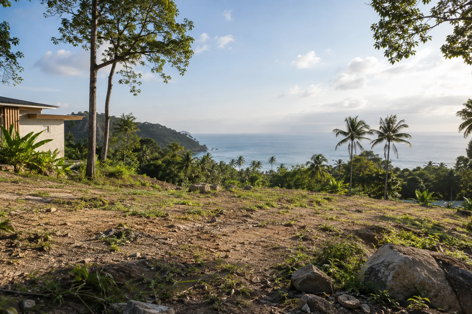 A ground-level view of the parcel showing soil texture, vegetation and natural drainage
