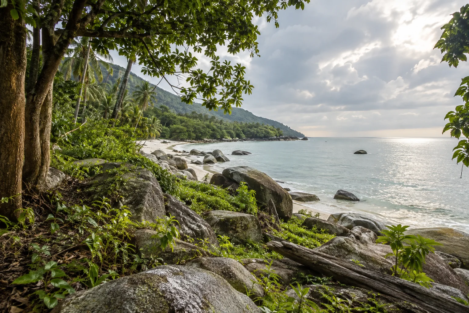 A broad view of a distinct undeveloped tropical parcel, its terrain and natural planting