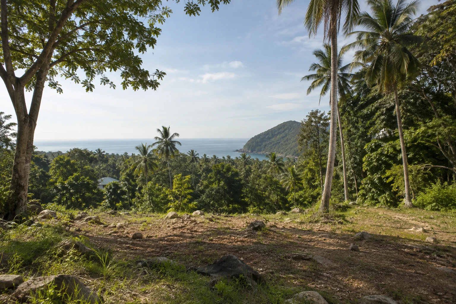 A broad view of a distinct undeveloped tropical parcel, its terrain and natural planting