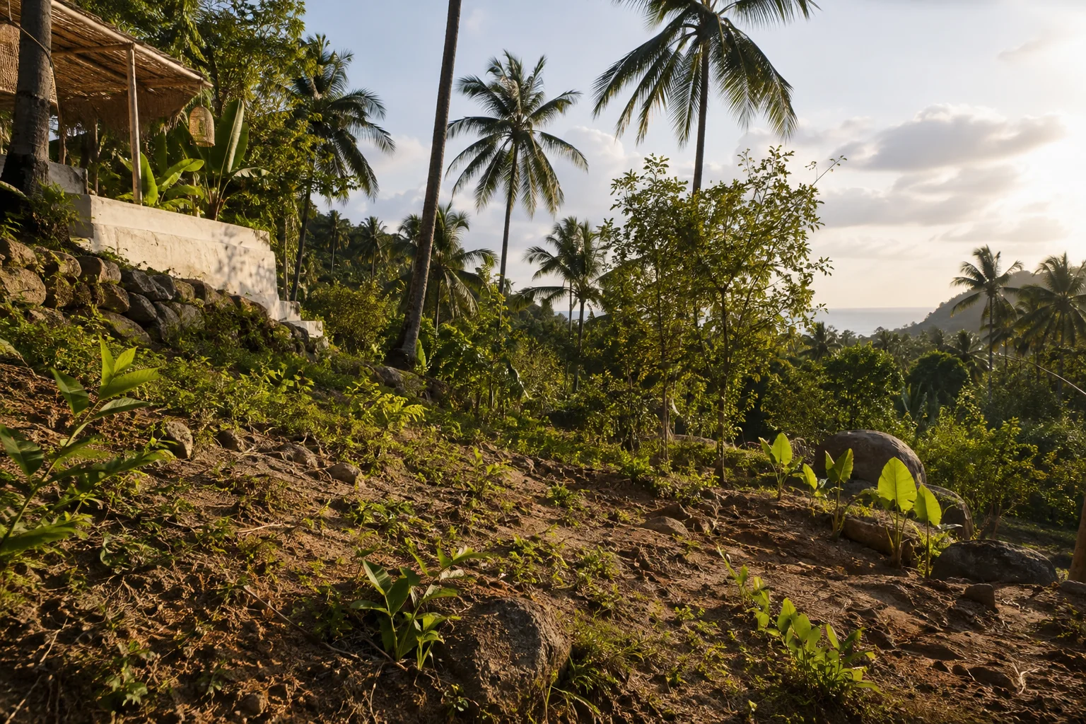 A ground-level view of the parcel showing soil texture, vegetation and natural drainage