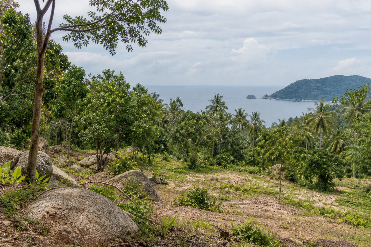 A broad view of a distinct undeveloped tropical parcel, its terrain and natural planting