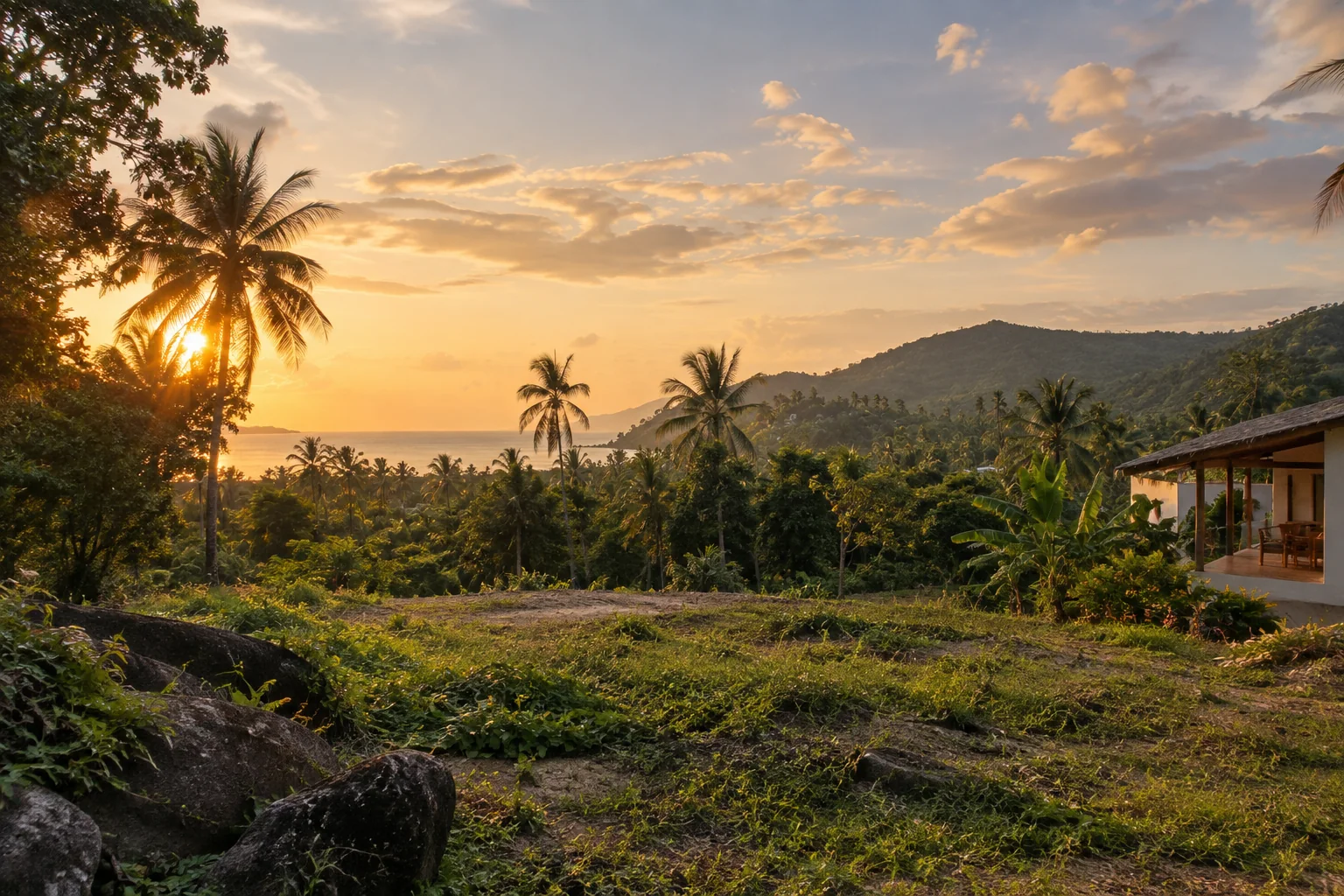 A broad view of a distinct undeveloped tropical parcel, its terrain and natural planting