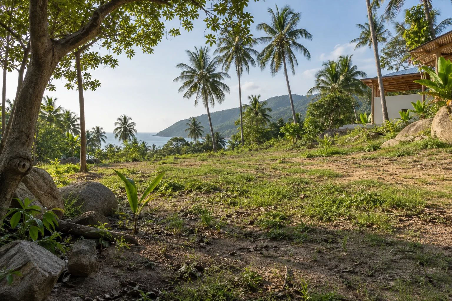 A ground-level view of the parcel showing soil texture, vegetation and natural drainage
