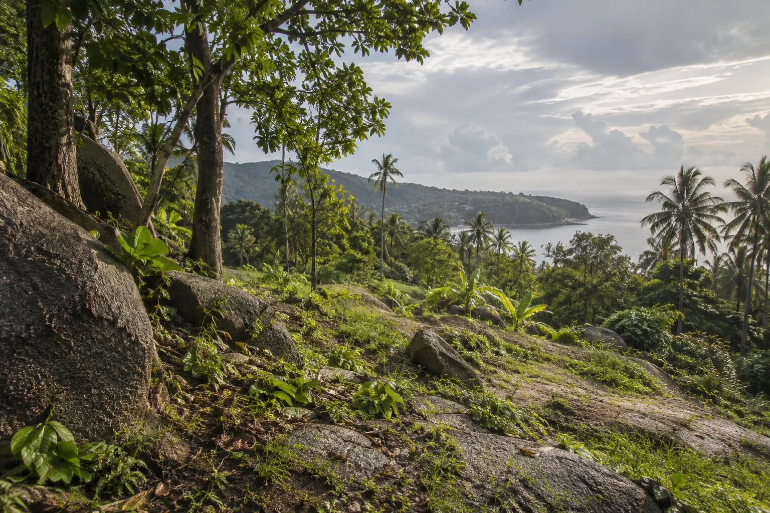 A broad view of a distinct undeveloped tropical parcel, its terrain and natural planting