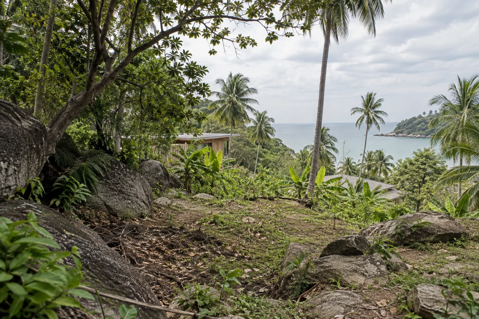 A ground-level view of the parcel showing soil texture, vegetation and natural drainage
