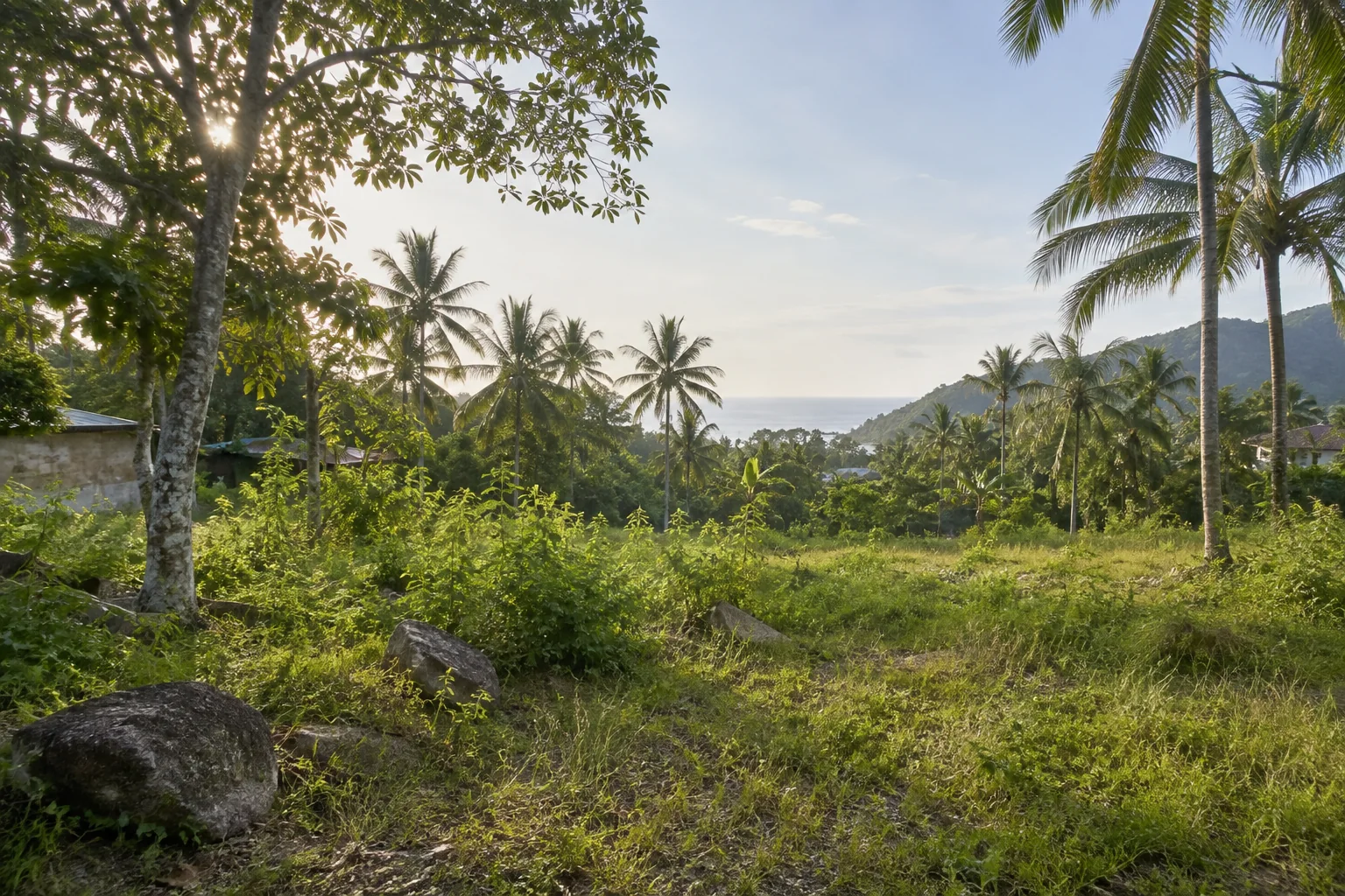 A broad view of a distinct undeveloped tropical parcel, its terrain and natural planting