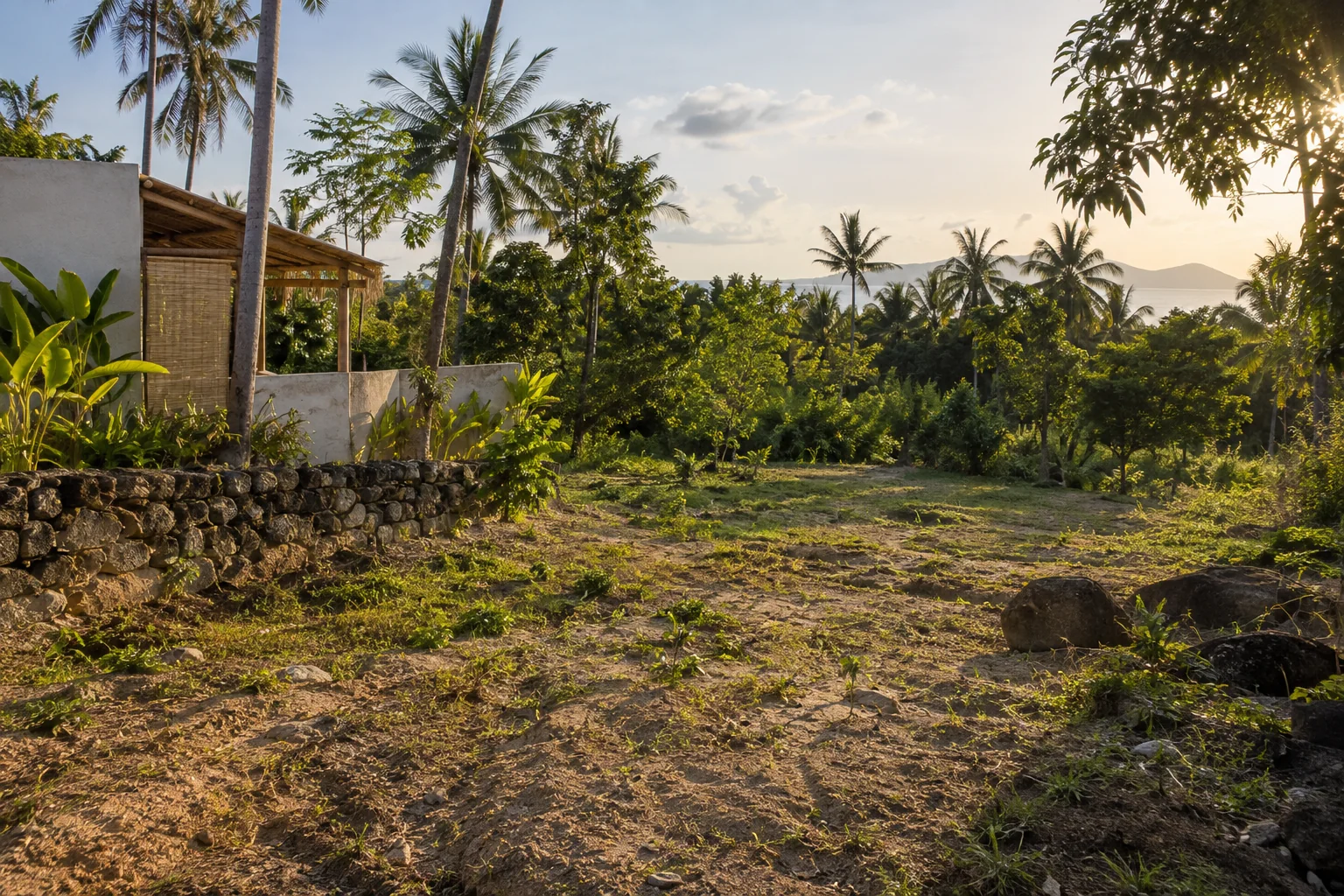A ground-level view of the parcel showing soil texture, vegetation and natural drainage
