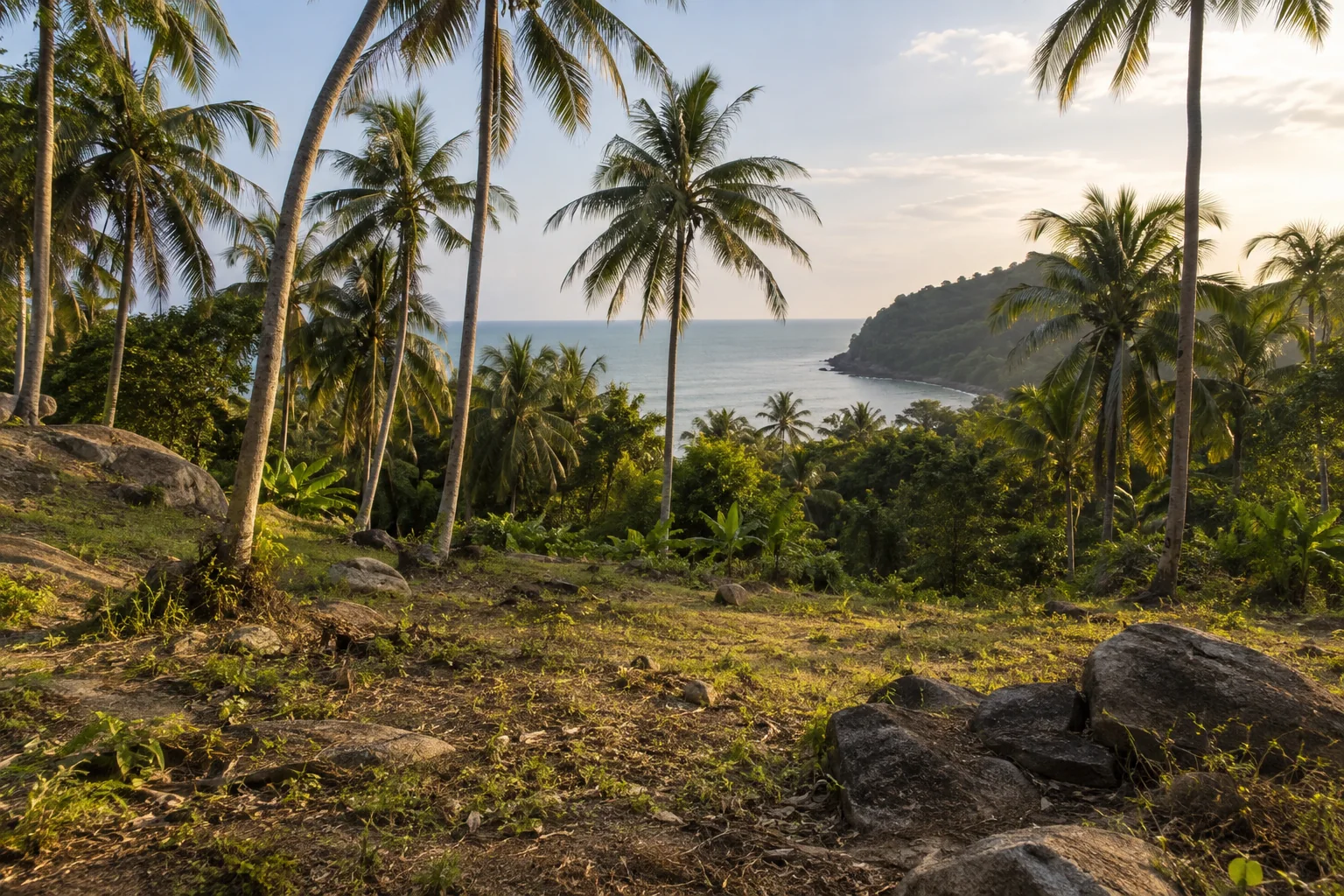 A broad view of a distinct undeveloped tropical parcel, its terrain and natural planting