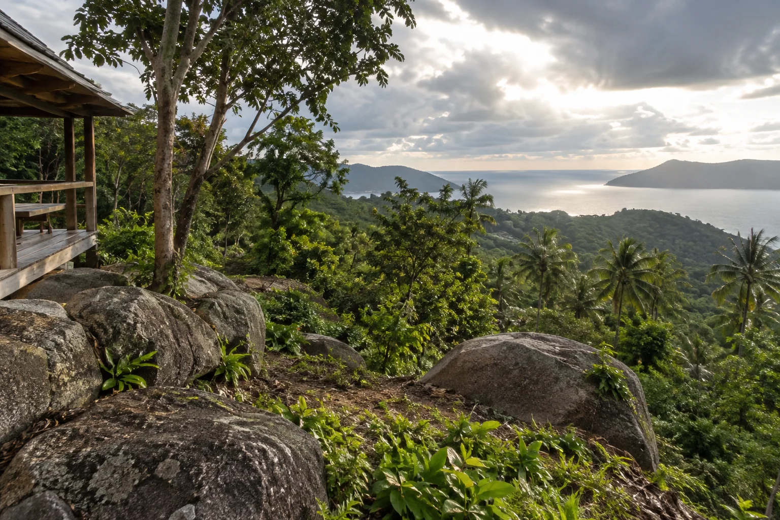 A broad view of a distinct undeveloped tropical parcel, its terrain and natural planting