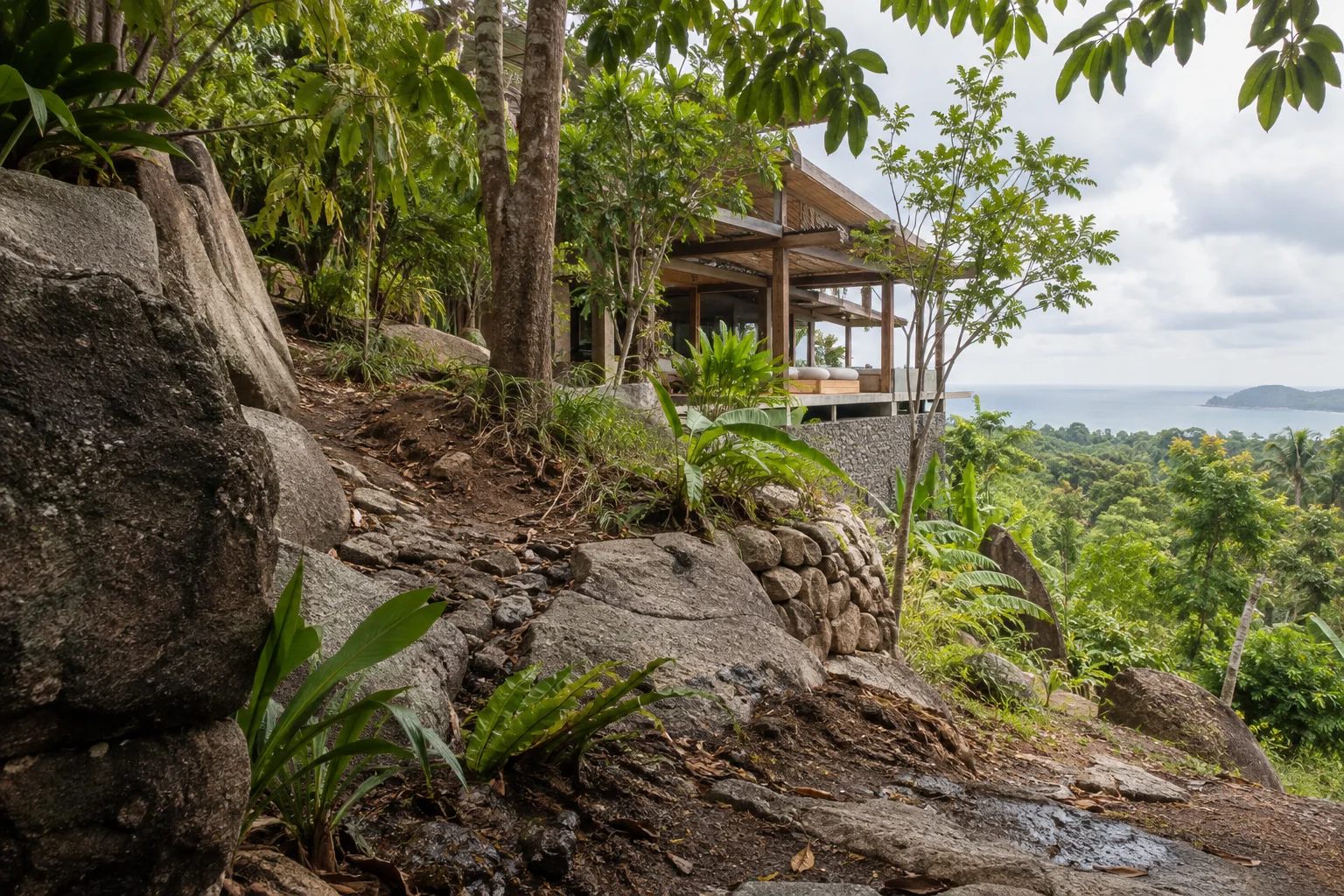 A ground-level view of the parcel showing soil texture, vegetation and natural drainage