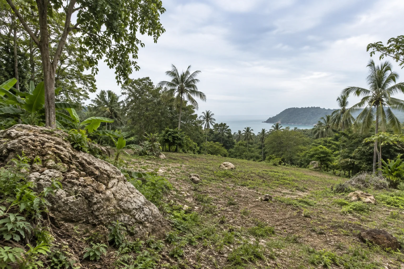A broad view of a distinct undeveloped tropical parcel, its terrain and natural planting
