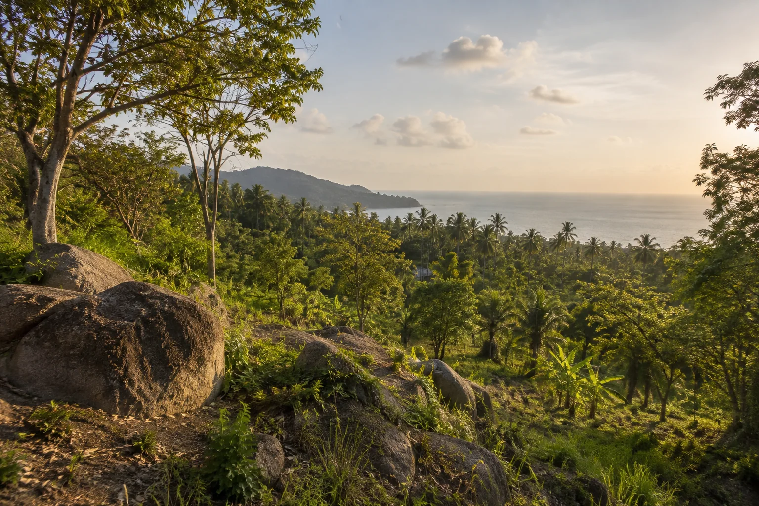 A broad view of a distinct undeveloped tropical parcel, its terrain and natural planting