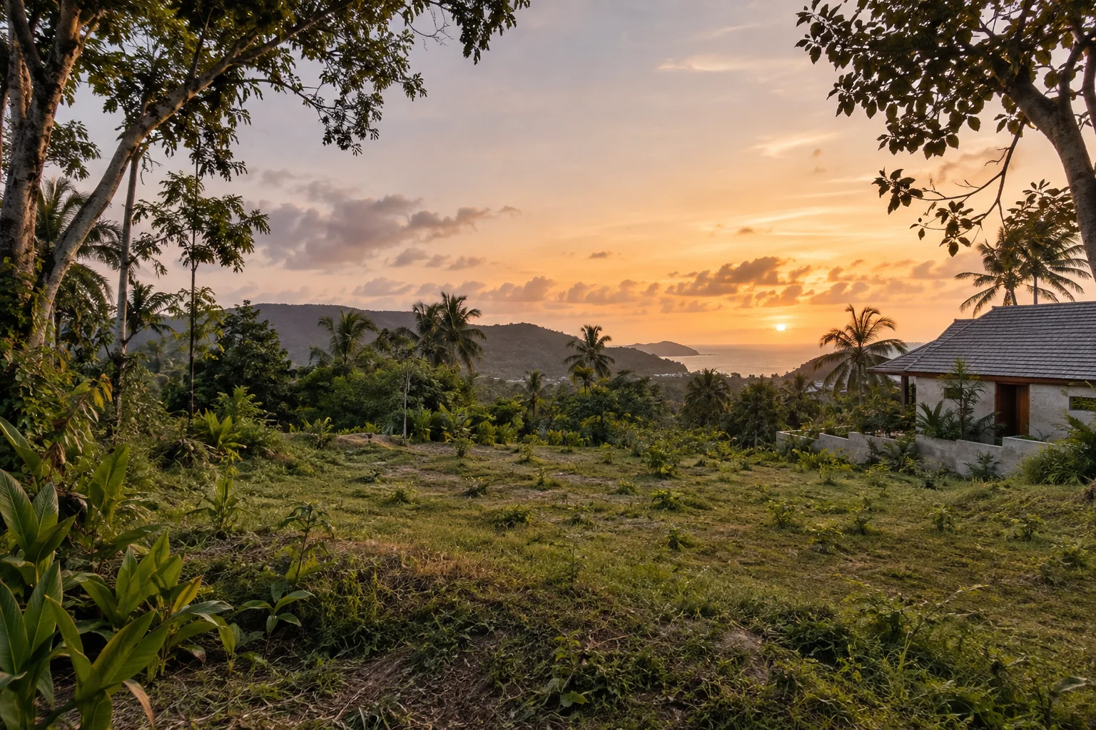A broad view of a distinct undeveloped tropical parcel, its terrain and natural planting