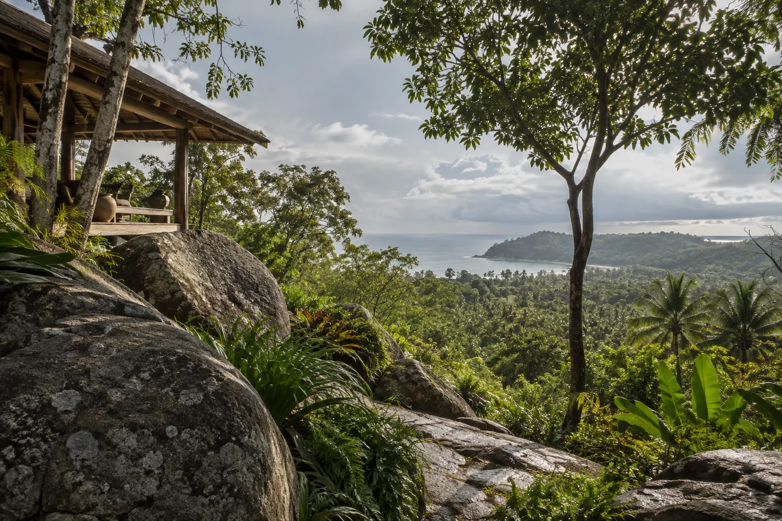 A broad view of a distinct undeveloped tropical parcel, its terrain and natural planting