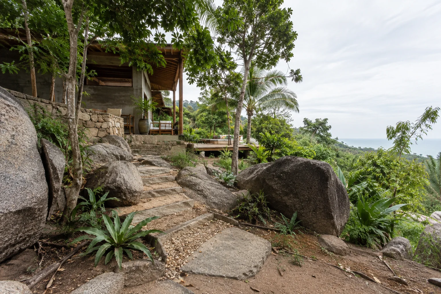 A ground-level view of the parcel showing soil texture, vegetation and natural drainage